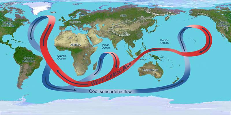 Thái Bình Dương có vòng hải lưu không?