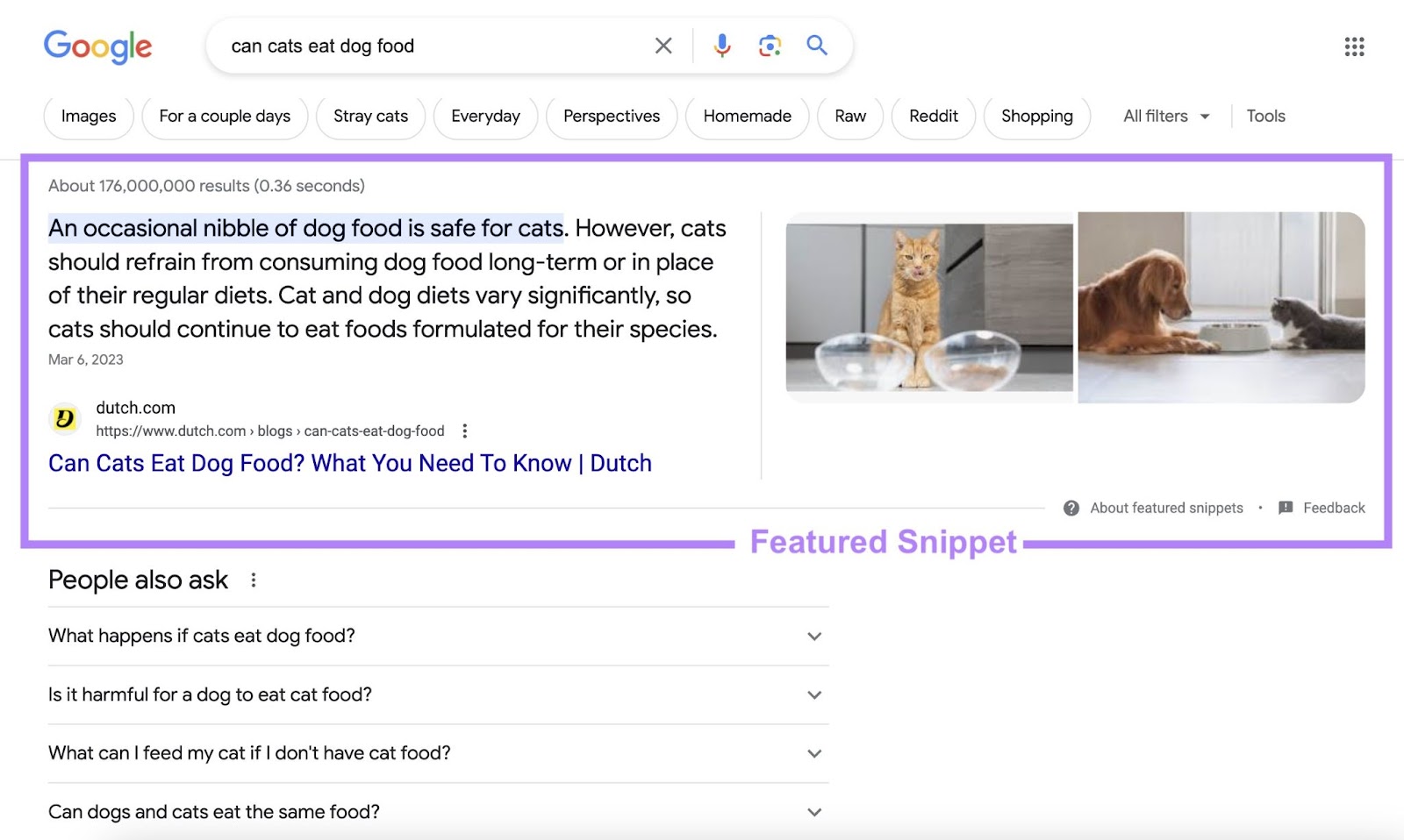 Kết quả đoạn trích nổi bật trên Google SERP cho truy vấn "mèo có ăn thức ăn cho chó không"