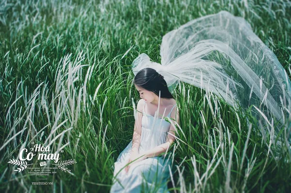 Cỏ Wedding Studio 1