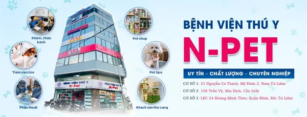 Phòng Khám Thú Y - Pet Store Lượng Thảo 2